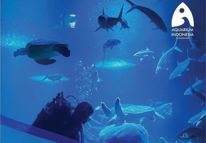 Destinasi Wisata Baru di Pangandaran, Begini Cara Pesan Tiket Aquarium Indonesia Pangandaran