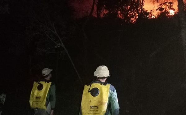 Kebakaran Gunung Ciremai: Petugas Gabungan Disebar ke Beberapa Titik, Luas Lahan yang Terbakar Belum Diketahui