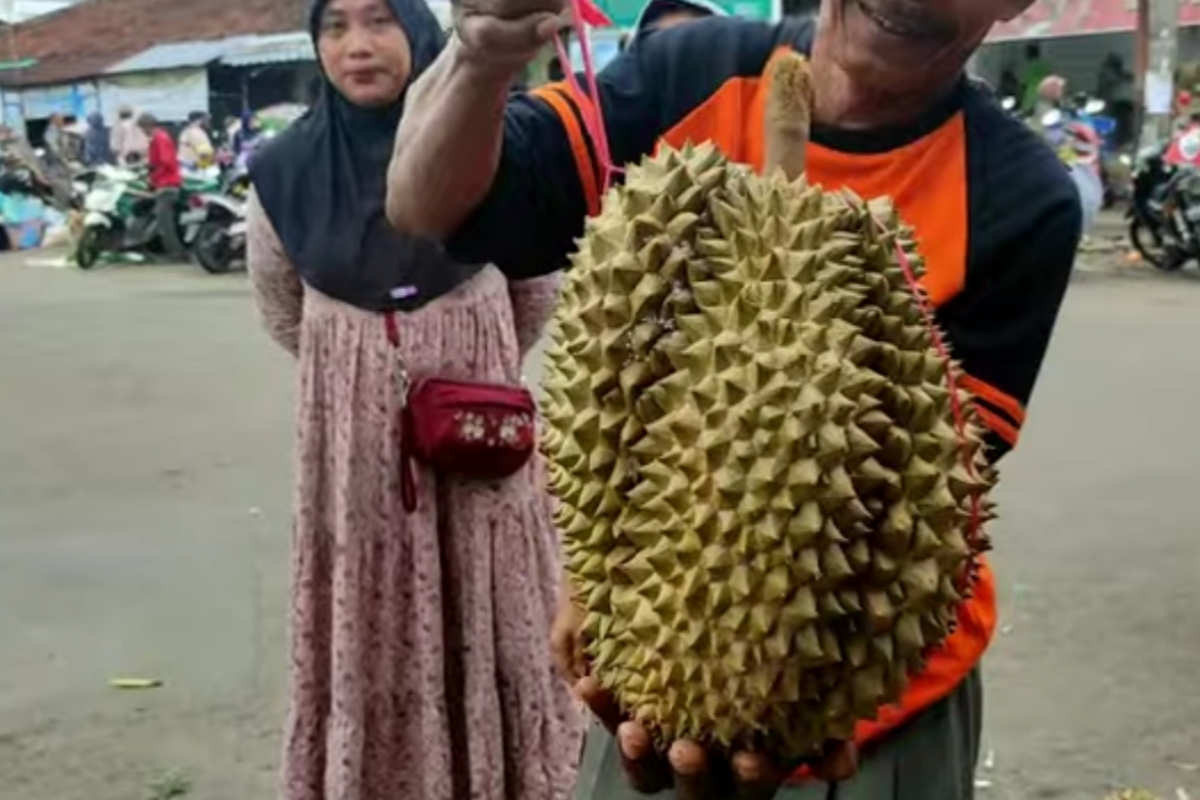 Durian Segede Ini Dijual Rp 20 Ribu! Cek Update Harga Durian Lokal Pekalongan