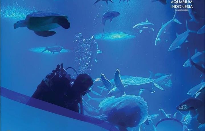 Aquarium Indonesia Pangandaran Tawarkan Ragam Biota Laut dengan Teknologi Modern, Libur Lebaran ke Sini Yuk!