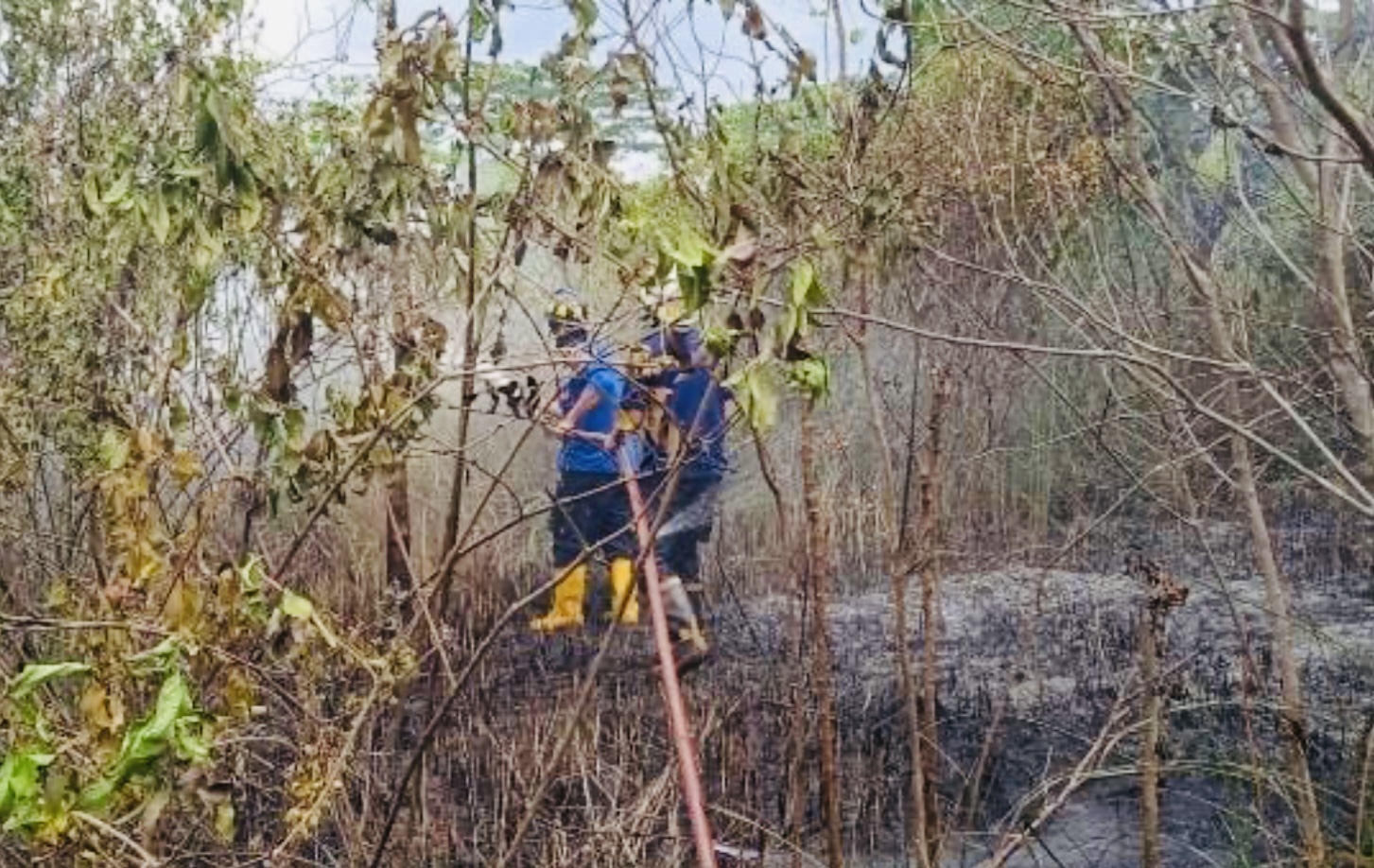 WASPADA! Tak Ada Hujan Lahan Kosong di Kota Banjar Rawan Kebakaran