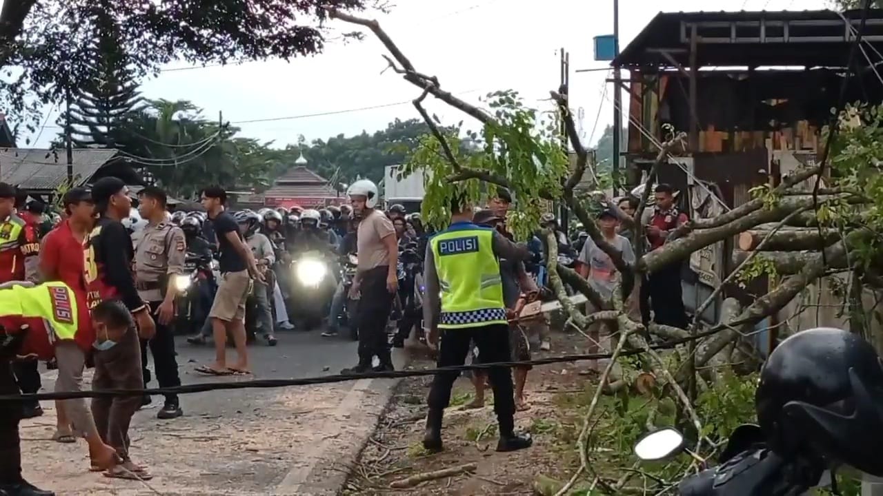 Pohon Tumbang di Jamanis Tasikmalaya Sempat Bikin Macet Arus Balik Sepanjang 5 Kilometer, Ini Penyebabnya