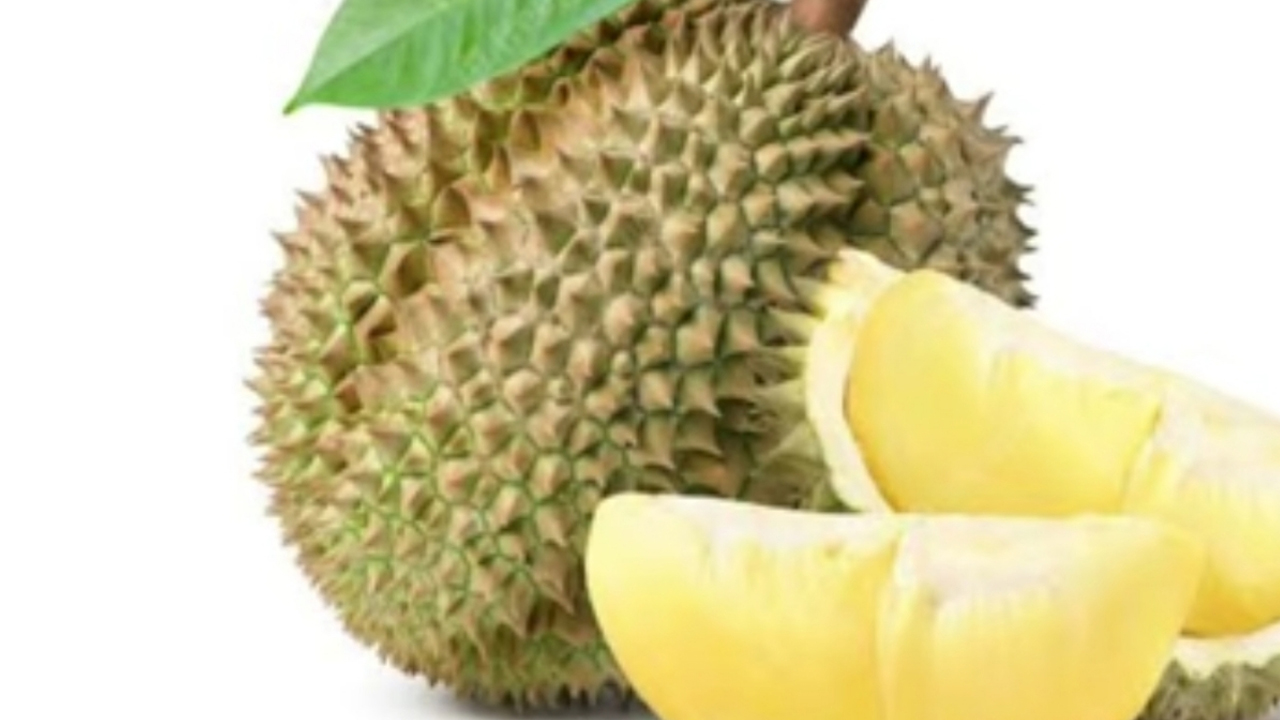 Manfaat dan Pantangan Makan Durian Demi Kesehatan