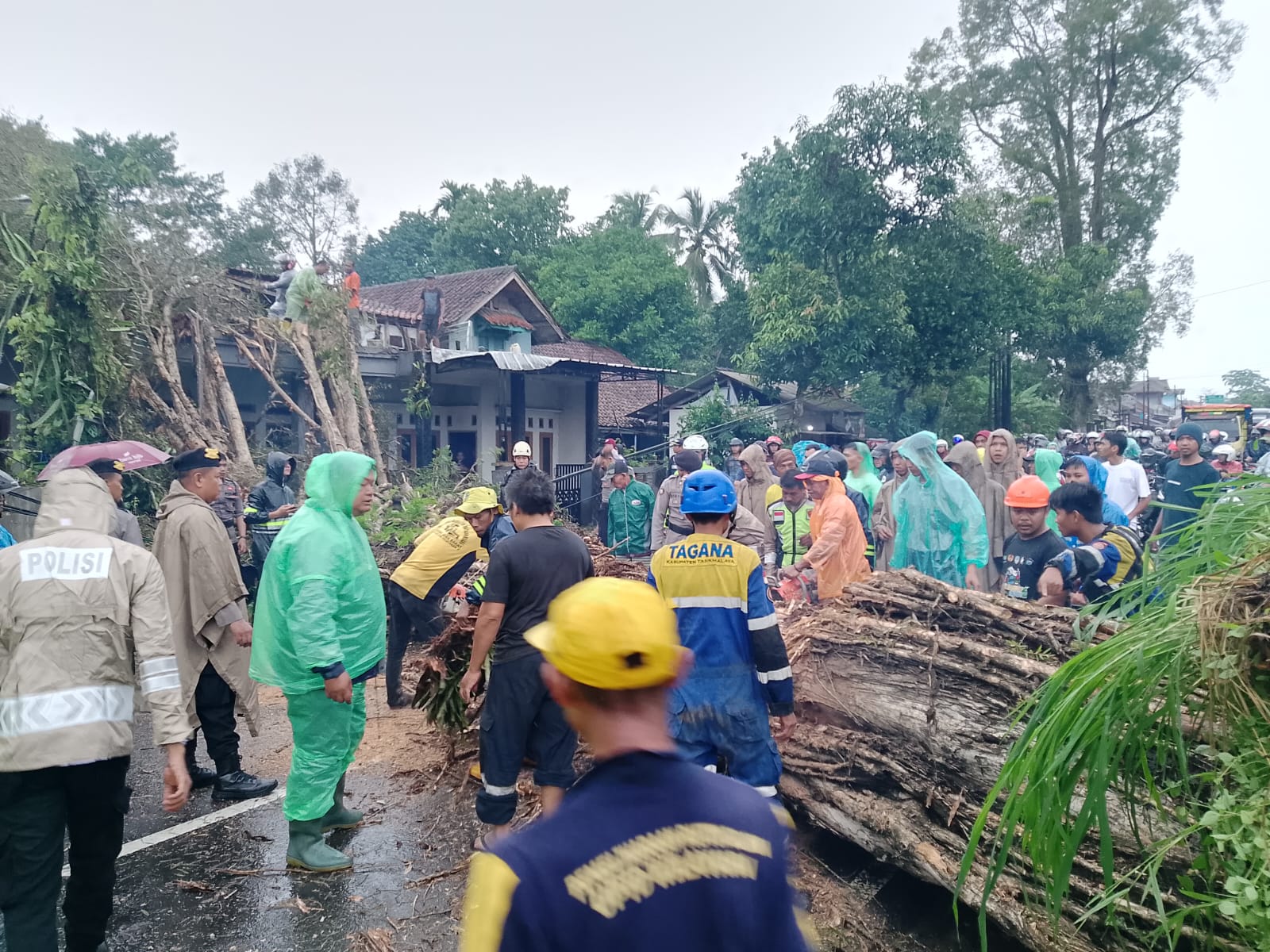Pohon Besar Tumbang Melintang di Jalan Tasik-Garut, Simak Update Terbaru Arus Lalu Lintasnya Sore Ini