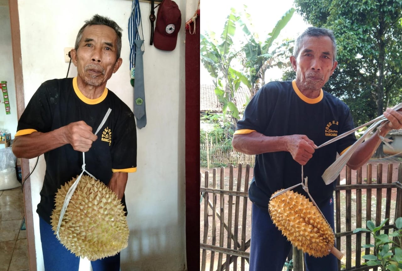 Ini Kisaran Harga Durian Tasikmalaya Beserta Rasa dan Lokasi Penjualnya, Pecinta Durian Mari Simak!
