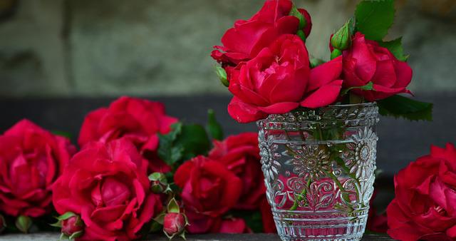 Gampang Banget, Ini Cara Mengolah Bunga Mawar untuk Dijadikan Kosmetik Alami, Ketahui Juga Manfaatnya