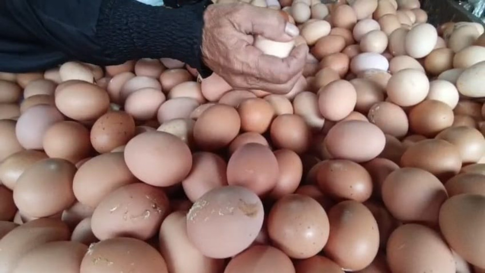Harga Telur di Tasikmalaya Juga Meroket, Pedagang Keluhkan Dampak Program Makan Bergizi Gratis