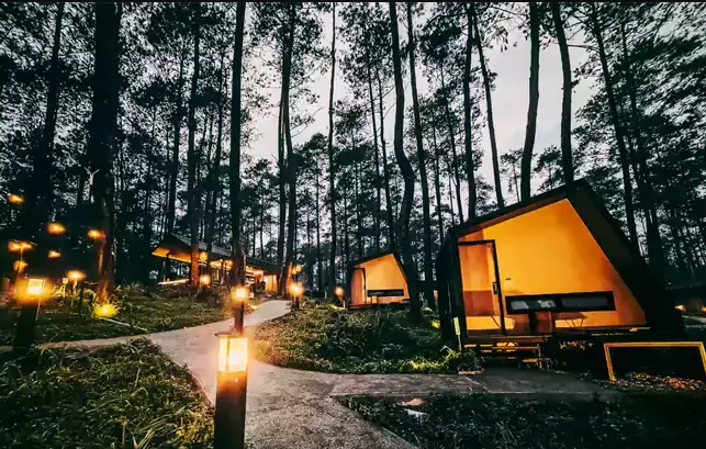 Bobocabin Cikole Tempat Glamping di Bandung: Menginap di Dalam Kabin Dengan Pemandangan Pohon Pinus 