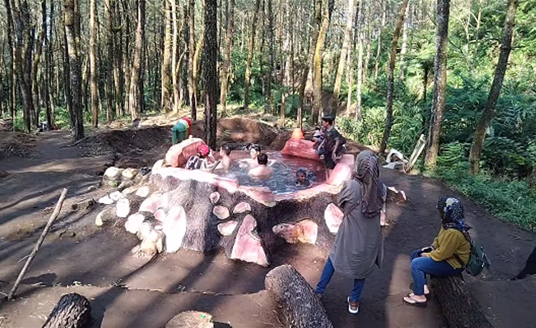 Tempat Berendam Air Panas di Hutan Pinus di Tasikmalaya, Jangan Salah Bukan di Gunung Galunggung