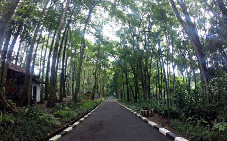 Taman Hutan Raya Juanda Wisata Alam di Bandung, Di THR Juanda Mengenang Pahlawan dan Menikmati Keindahan Alam