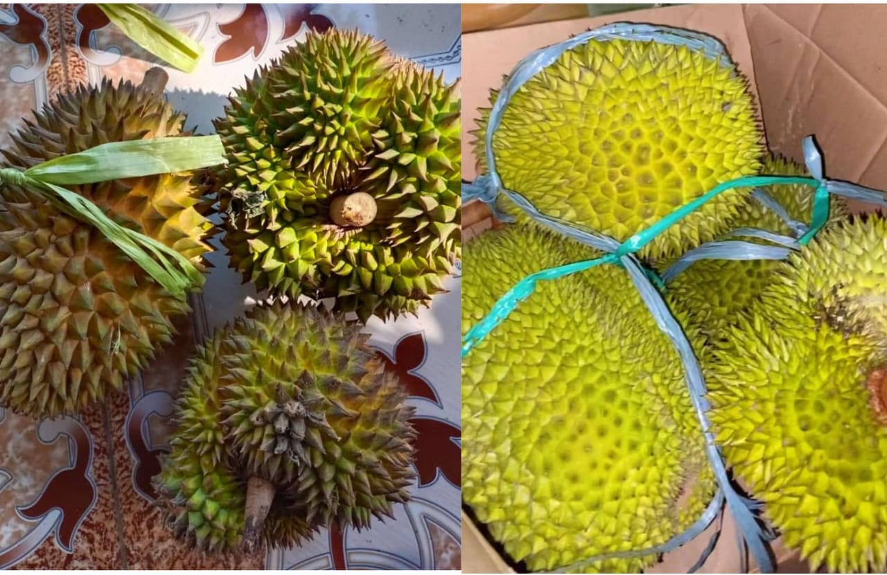 Wow Rasa Durian Tasikmalaya Tak Kalah Lezatnya dengan Musang King, Harganya Juga Terjangkau Yuk Wisata Kuliner