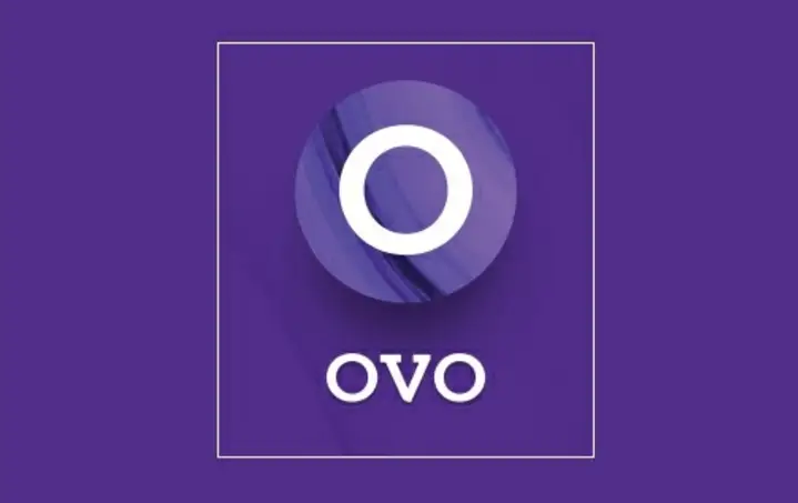 Penyebab Pengguna OVO Tak Bisa Menampung Saldo OVO Cash Hingga Rp20 Juta, Simak Solusinya