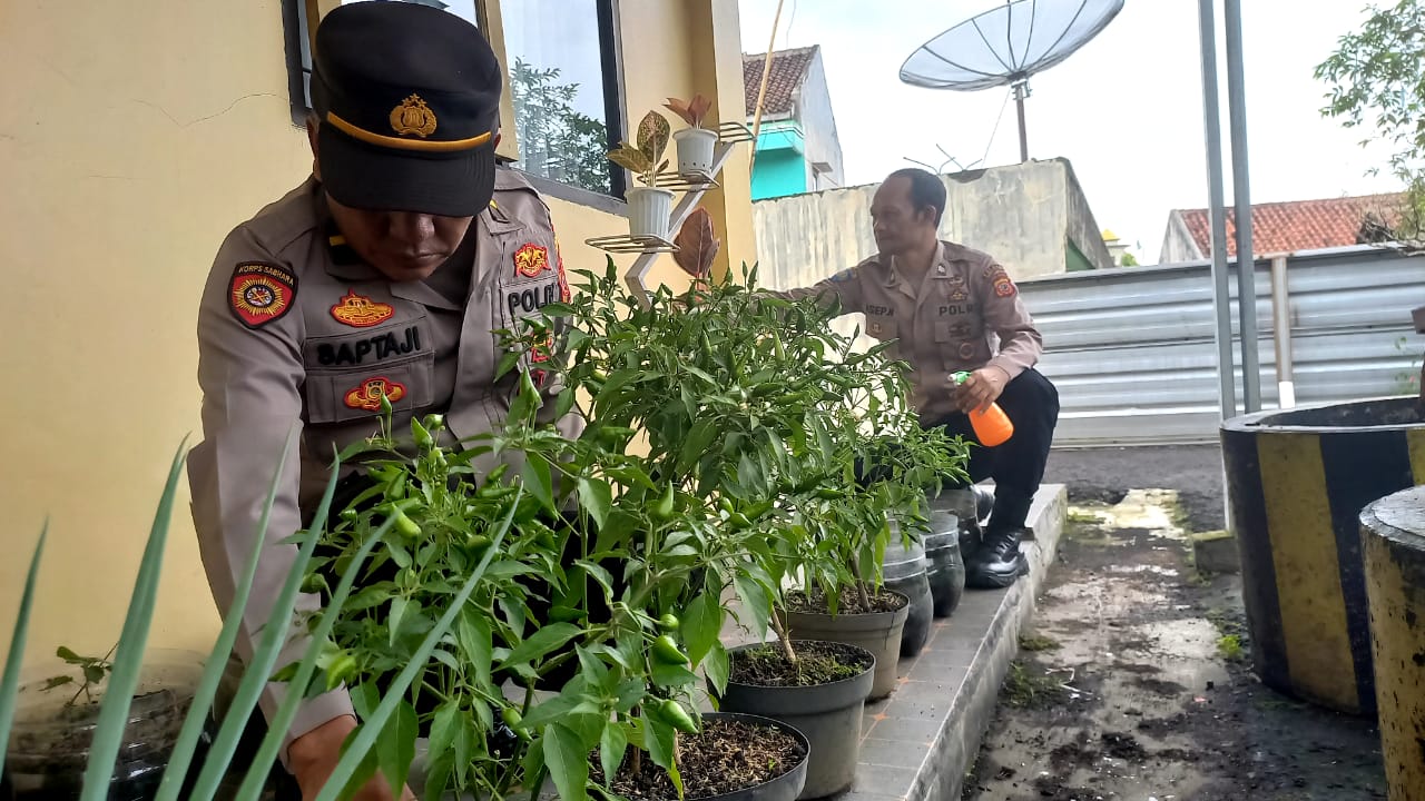 Ketika Halaman Kantor Polsek Mangkubumi Tasikmalaya Disulap Jadi Lahan Hijau