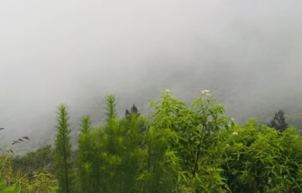Amazing Time Naik ke Gunung Galunggung Pakai Ojeg Gunung, Berasa Jadi Anak Senja Nikmatin Harumnya Aroma Hutan