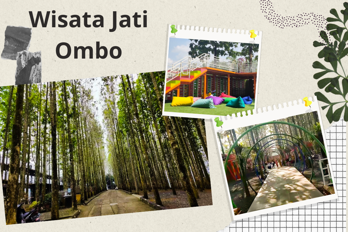 Wisata Jati Ombo, Destinasi Baru yang Ramah Anak dan Viral di Bogor