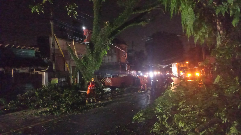 Cegah Pohon Tumbang, BPBD Kota Tasikmalaya Turun Tangan Setelah Rekomendasi PPK Jalan Nasional