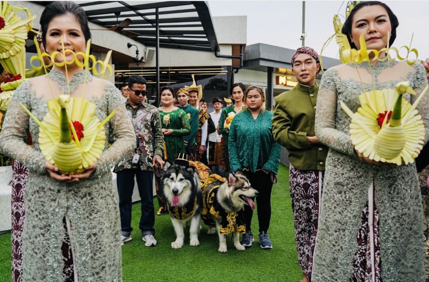 Dua Anjing Jojo dan Luna, Pasangan Pengantin Baru yang Lagi Happy, Bakal Bagi-Bagi Hadiah Jutaan Rupiah