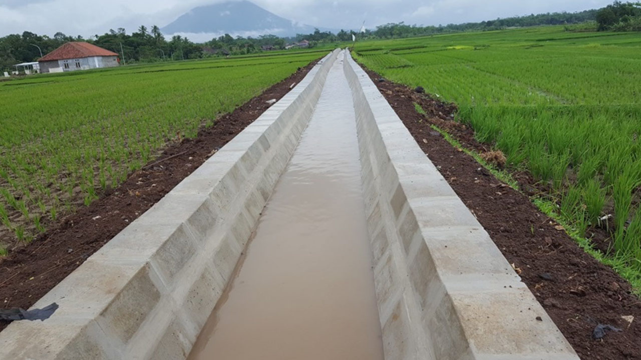 Rekrutmen TPM P3-TGAI 2026 Dibuka, Ini Syarat, Dokumen yang Dibutuhkan dan Cara Daftarnya