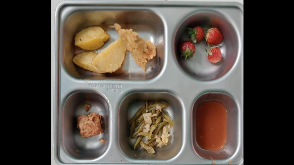 Program MBG di Tasikmalaya Terus Tuai Kritik, Sajian Kulit Ayam Jadi Sorotan