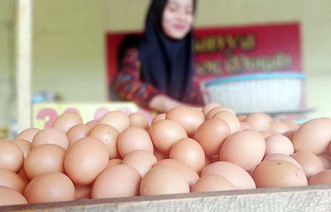 Bansos Selesai, Harga Telur di Kota Tasikmalaya Diprediksi Kembali Normal