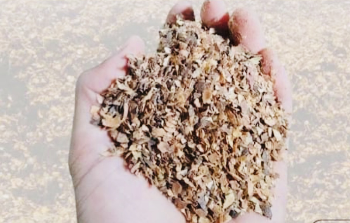 Bikin Kompos dari Limbah Kulit Kopi Yuk, Begini Caranya