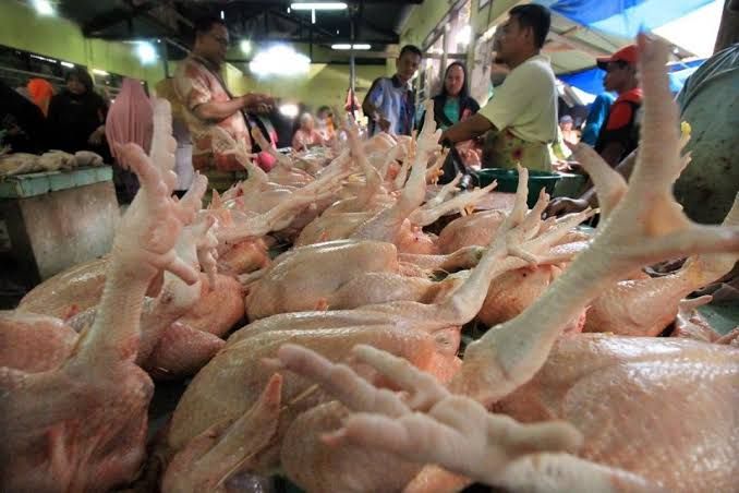 Mulai Oktober 2024, Penjual Daging Ayam Potong Harus Punya Sertifikat Halal, Ini Tujuannya