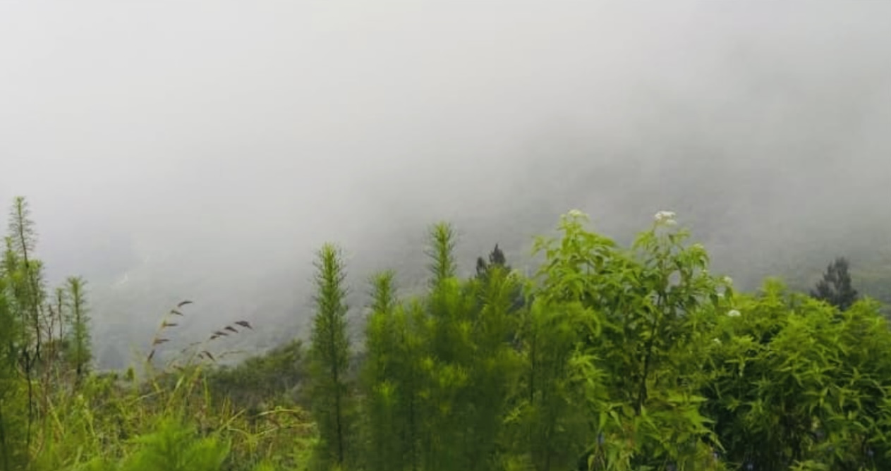 Benarkah Masih Ada Macan di Area Objek Wisata Gunung Galunggung? Ini Penjelasan Perhutani 