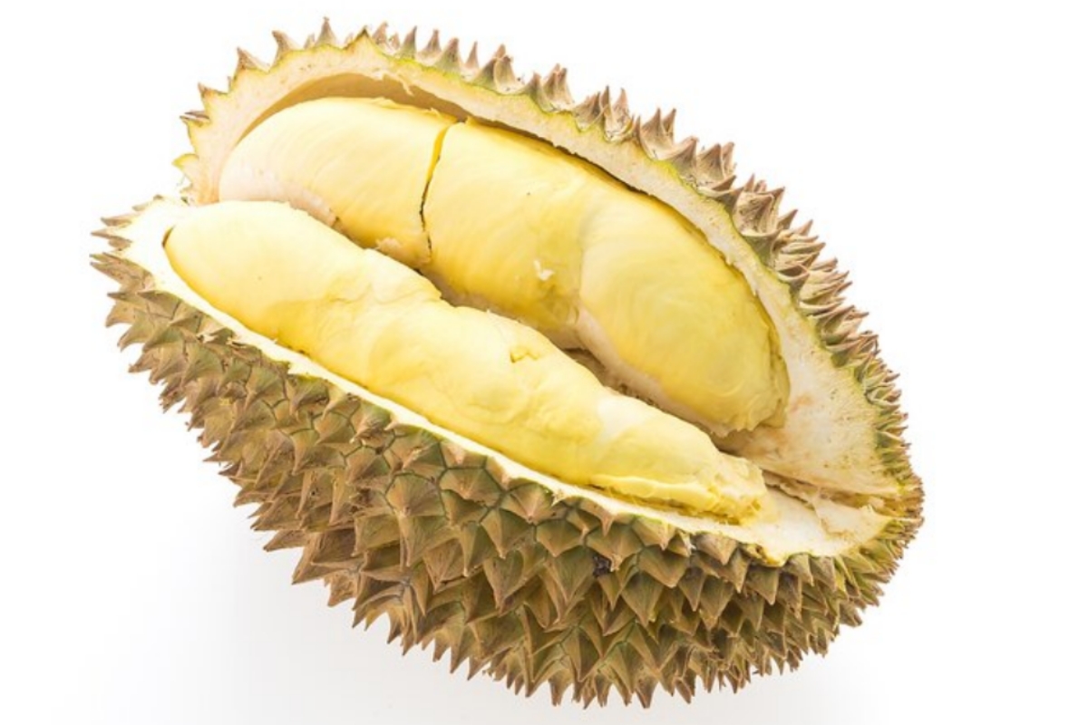 Gampang! Begini Cara Memilih Durian Manis dan Tebal, Jangan Kecolongan Simak Tipsnya di Bawah Ini!