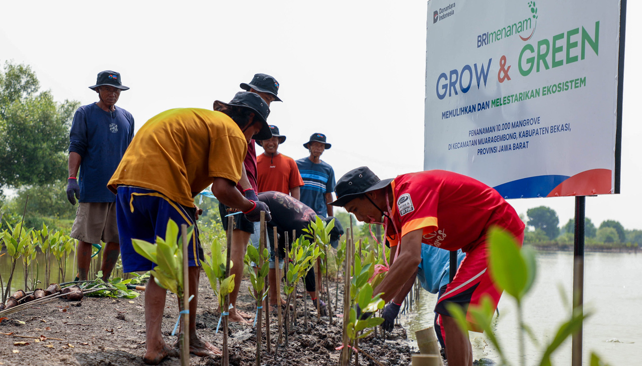 Peringati Hari Mangrove Sedunia, BRI Pertegas Komitmen Selamatkan Lingkungan Lewat Perbaikan Ekosistem Pesisir