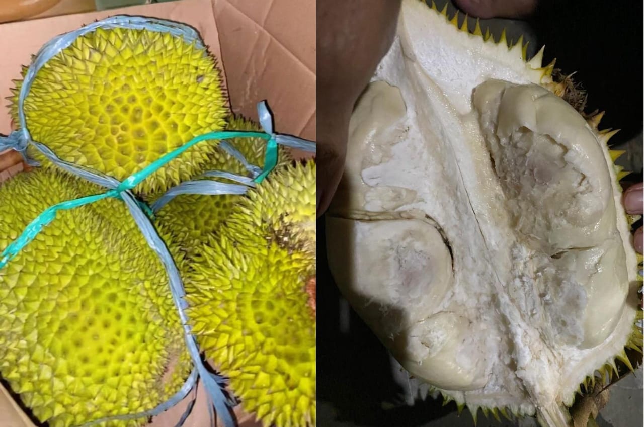 Bikin Nagih, Rasa Durian Tasikmalaya Ternyata Tak Kalah Lezat dengan Durian Musang King, Pecinta Durian Mau?
