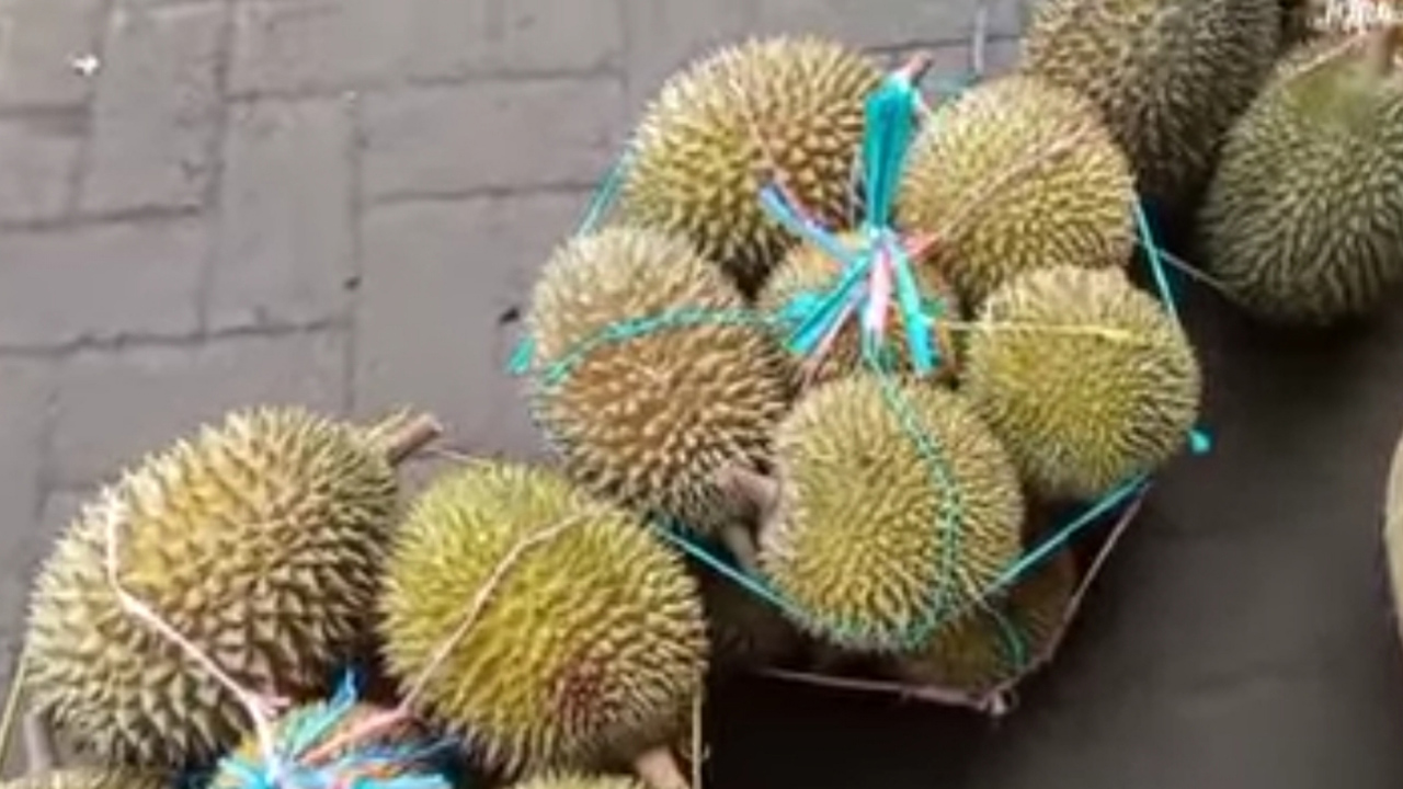 Sensasi Berburu Durian Lokal Pasurupan di Pasar Buah Pasrepan, Jawa Timur, 300 Ribu Dapat 29 Buah