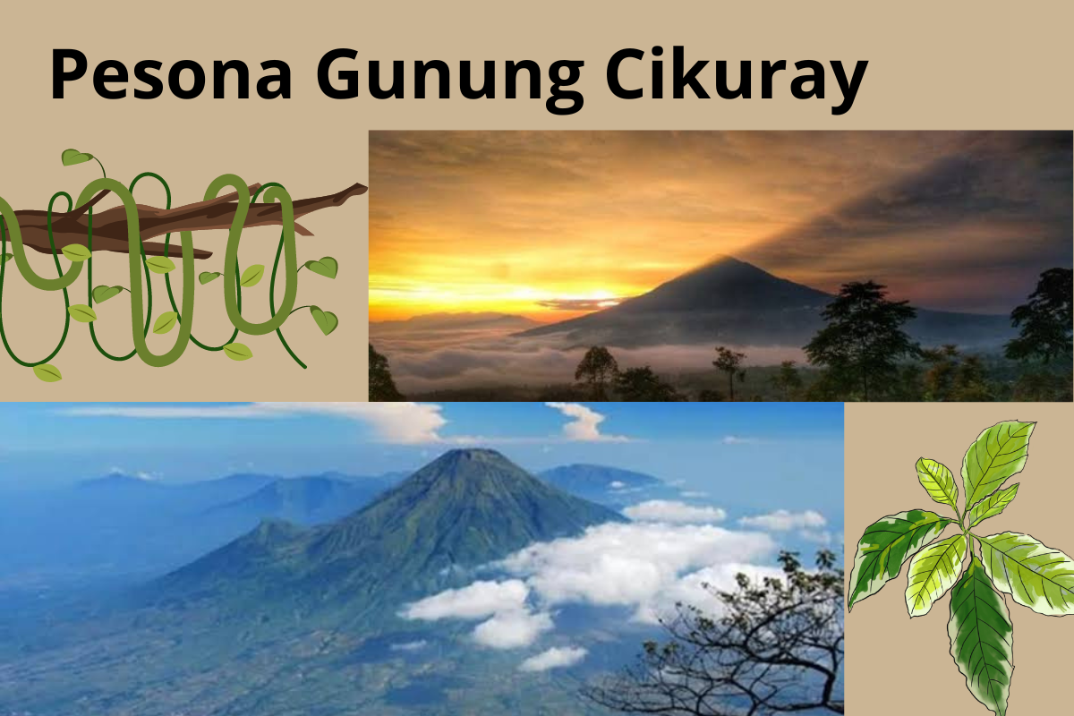 7 Hal Menarik Dari Gunung Cikuray, Gunung Tertinggi Garut yang Jadi Pusat Pertapaan Zaman Kerajaan Sunda