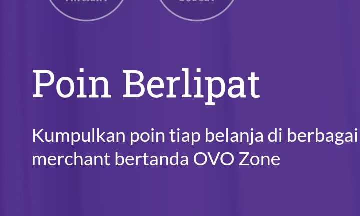 INI Cara Mendapatkan Poin Berlipat di OVO, Berkesempatan Dapat Cashback Rp250 Ribu, Anti Ribet Langsung Cair!