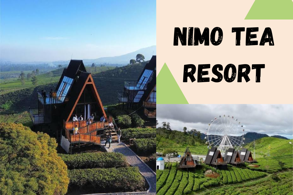 Informasi Terbaru Nimo Tea Resort, Pengalaman Glamping Terbaik di Pangalengan