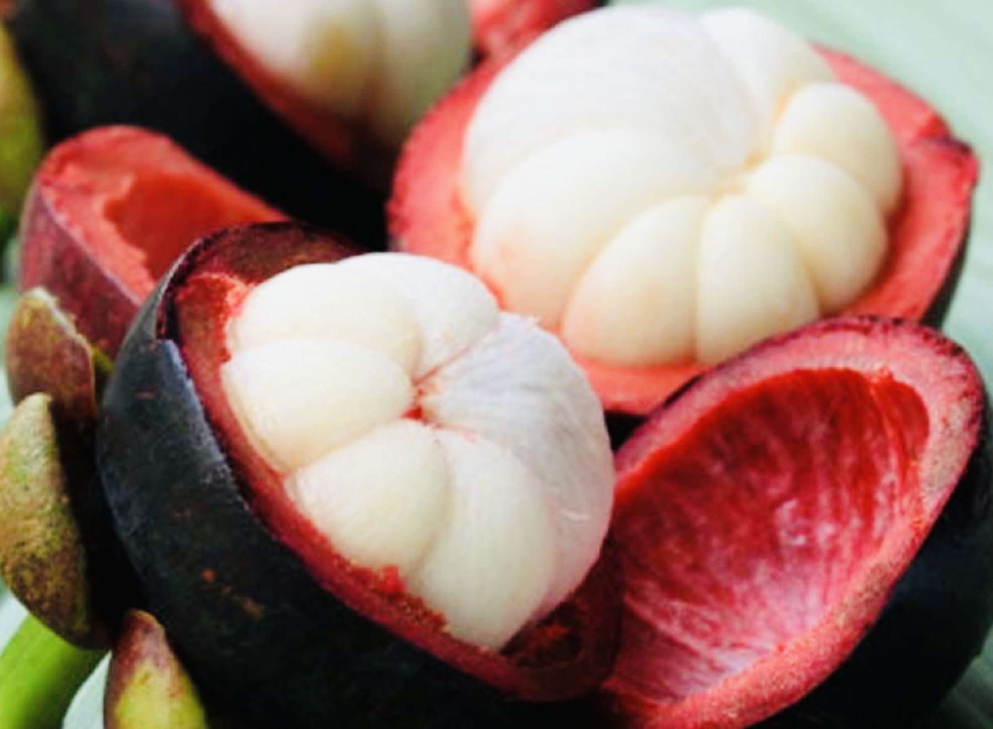 Ada ‘Harta Karun’ dari Tasikmalaya Berupa Buah Diberi Nama Queen of Fruit
