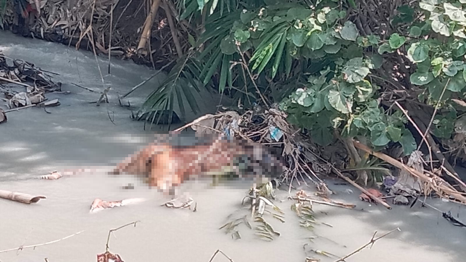 Bocah Temukan Mayat Berbaju Batik di Sungai, Polisi Kesulitan Ambil Sidik Jari 