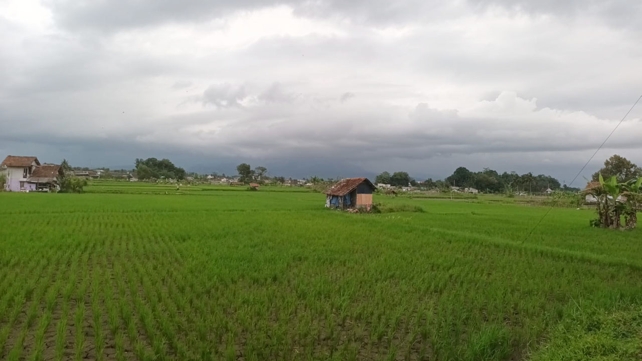 Kementerian PU Buka Rekrutmen Tenaga Pendamping Masyarakat untuk P3TGAI di 12.000 Lokasi