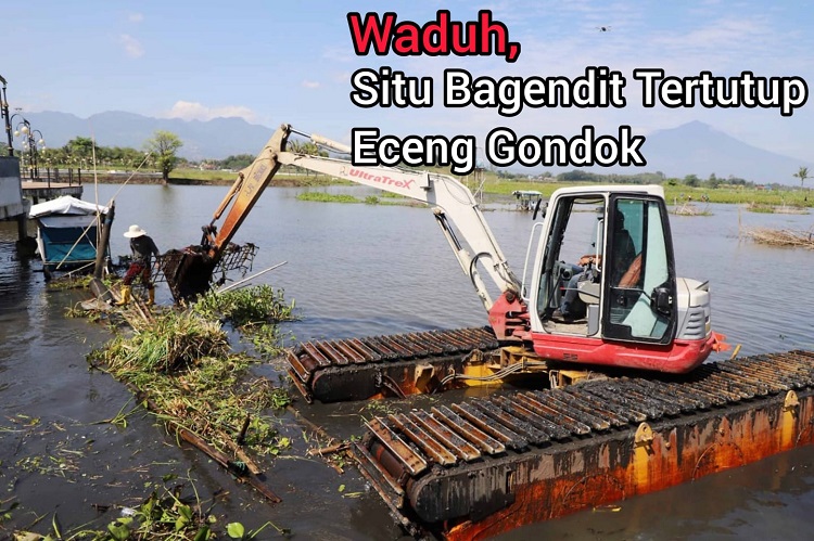 WALAH! 50 Hektar Danau Situ Bagendit Tertutup Eceng Gondok, Bersih-bersih Perlu Waktu 150 Hari