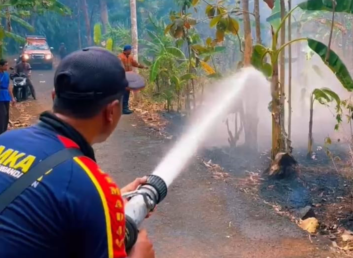 20 Titik Kebakaran Lahan Terjadi di Kota Banjar, Terkini Kebun Jati Seluas 10 Hektar