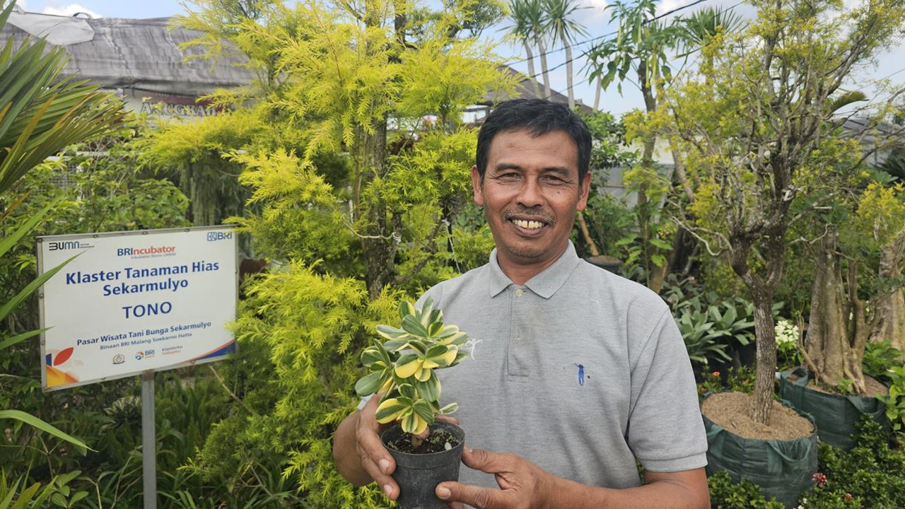 Sukses Jadi Mata Pencaharian Warga Sekitar, Ini Kisah Klaster Usaha Tanaman Hias Binaan BRI