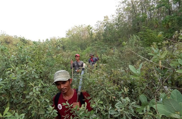 Warga Hilang di Hutan saat Cari Telur Semut, Sebelumnya Ada yang Hilang, Pulang Diselamatkan Nenek-Nenek