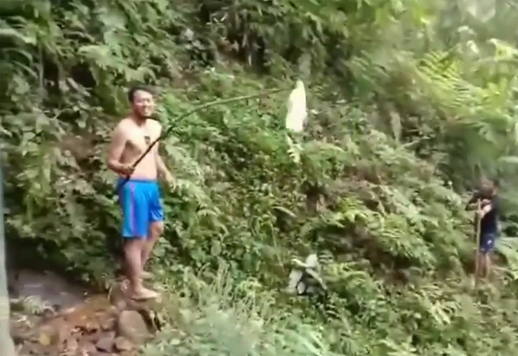 Beredar Video Celana Dalam dan Bra Berserakan di Hutan di Gunung Sanggabuana, Ada Mitos Buang Sial