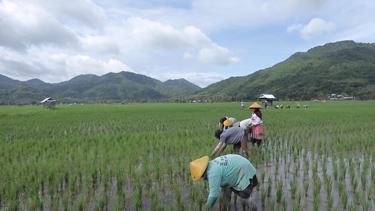 Berbasis Gotong Royong, Desa Manemeng Perkuat Ekosistem Ekonomi Kerakyatan melalui Program Desa BRILiaN