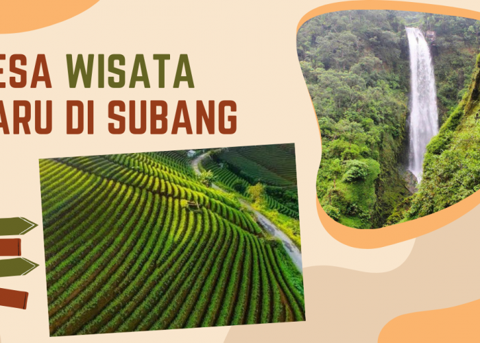 7 Desa Wisata Baru di Subang 2026, dari Sawah Asri hingga Pemandian Air Panas Alami