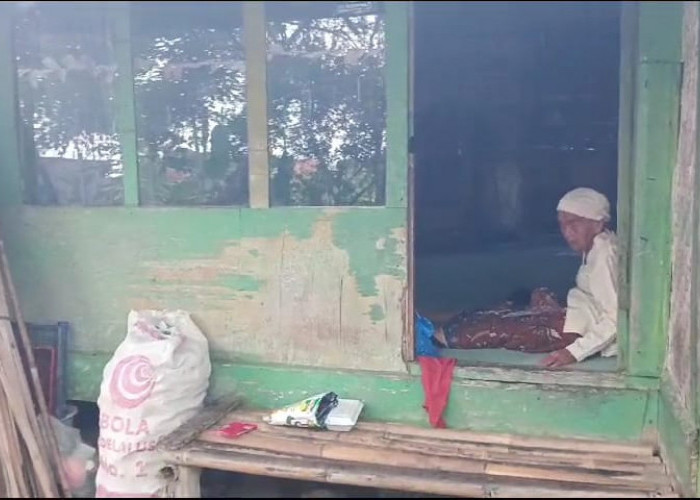 Lansia di Tepi Kota Tasikmalaya: Hidup di Rumah Tidak Layak Huni Tanpa Bantuan