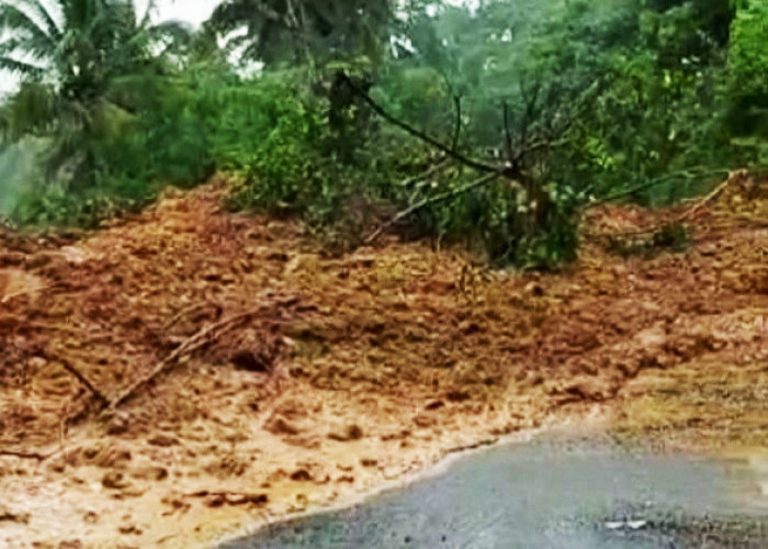Bencana di Tasik: Jalan Raya Salopa-Cikatomas Sempat Tertutup Longsor, di Karangnunggal Terjadi Banjir