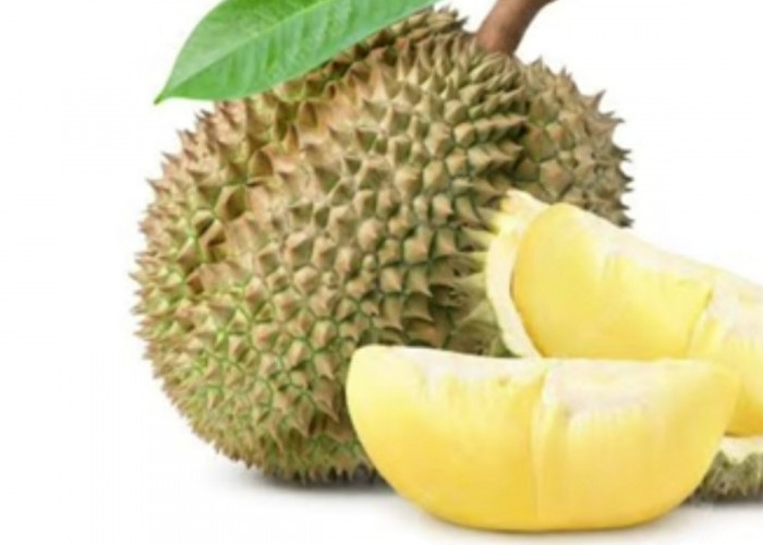 Penderita Diabetes Boleh Makan Durian, Benarkah? Cek Faktanya di Sini!