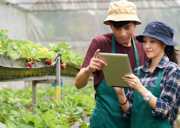 Wow, Petani Milenial Dapat Rp 10 Juta Per Bulan, Begini Syarat dan Cara Mendaftarnya