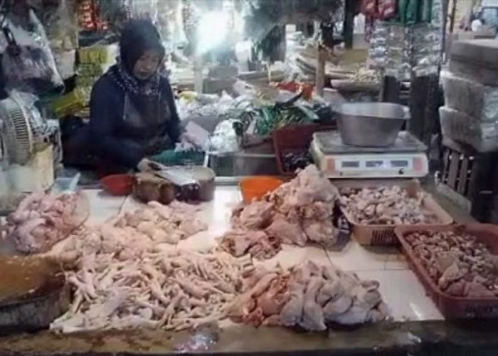 Harga Pakan Naik? Daging Ayam di Pasar Singaparna Tembus Rp 40 Ribu, Dinas Koperasi UMKM Belum Tahu