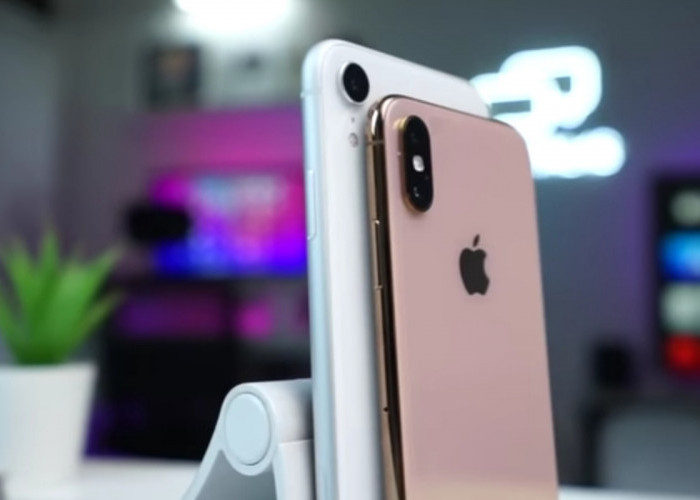 Rekomendasi iPhone Terbaru Akhir 2024, Harga Mulai 4 Jutaan, Cek Seri Apa Saja!